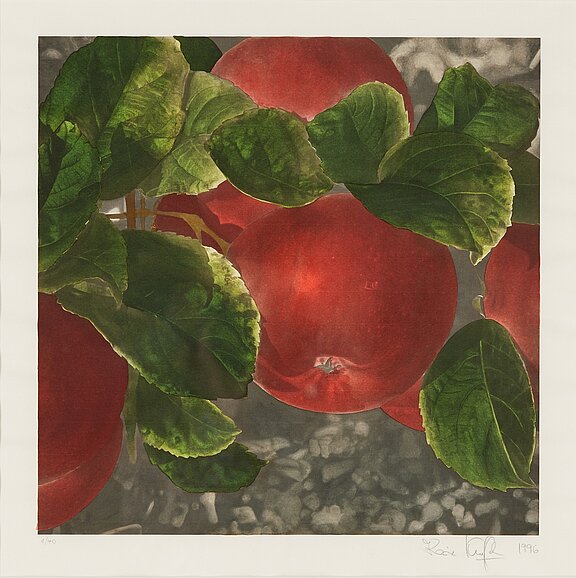 Das Bild zeigt ein Kunstwerk von Karin Kneffel. In der Darstellung sieht man rote Äpfel, die an einem Ast hängen, umgeben von grünen Blättern. Die Äpfel sind glänzend und reif, während der Hintergrund eine unscharfe, graue Textur aufweist.